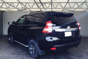 %e3%83%97%e3%83%a9%e3%83%89%e3%83%aa%e3%82%a2%e3%80%80%e5%8a%a0%e5%b7%a5%e5%be%8c-300x200